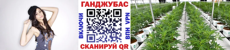 Купить закладку Андреаполь Метамфетамин  Кокаин  Меф мяу мяу  Каннабис  Codein  ГАШИШ 