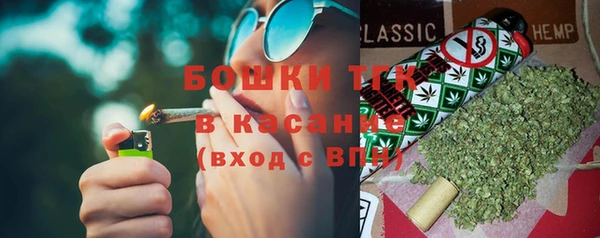 тгк Дубна