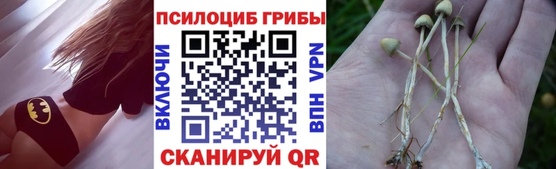 Галлюциногенные грибы мухоморы  Андреаполь 